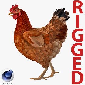 Brown Chicken Rigged for Cinema 4D 3D model